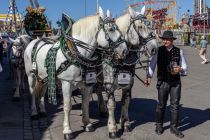 Cannstatter Volksfest 2023 - Stuttgart - Bilder - Respekt vor diesen gelassenen und unerschrockenen Pferden. • © kirmesecke.de - Christian Schön