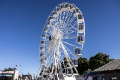 Das Riesenrad von Scheidacher-Kaiser auf dem Herbstfest in Mühldorf 2023. • © kirmesecke.de