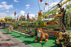 Die Kleinachterbahn Tom der Tiger. • © ummet-eck.de - Silke Schön