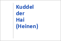 Kuddel der Hai (Heinen)