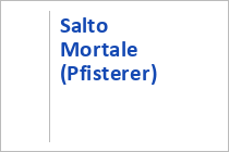 Salto Mortale (Weber)