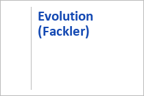 Evolution (Fackler)